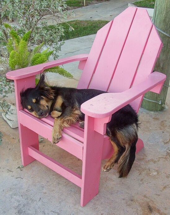 Click to See Next Image